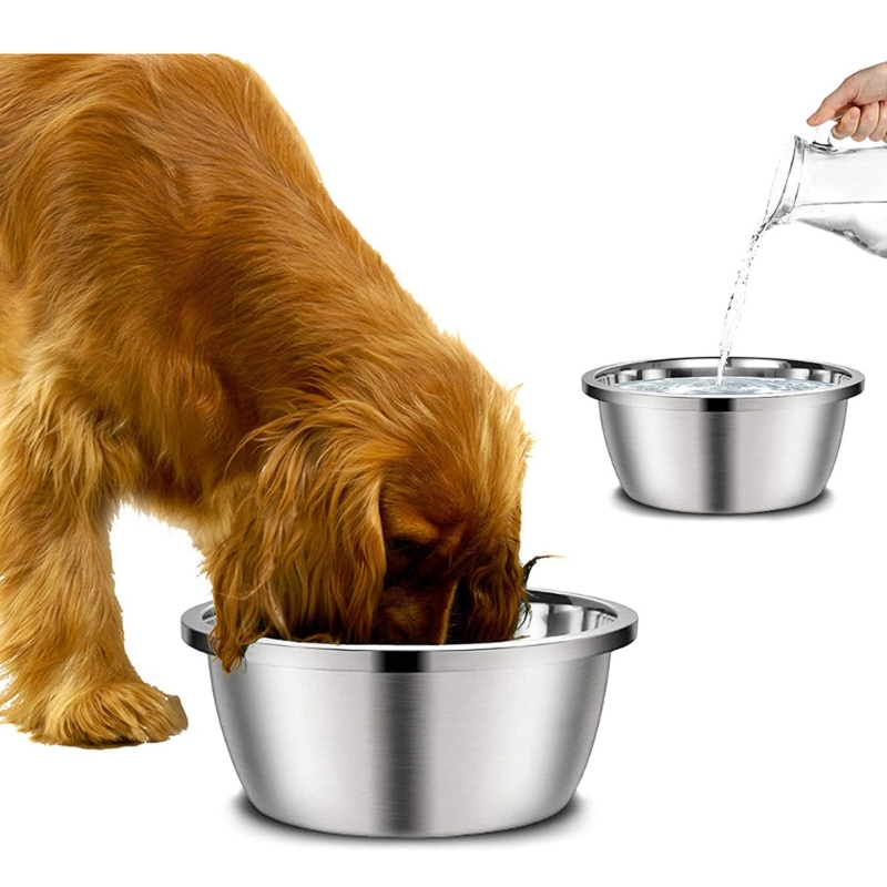 Royal Canin Food Medium - 스테인레스 스틸 개 사료통 20cm 24cm